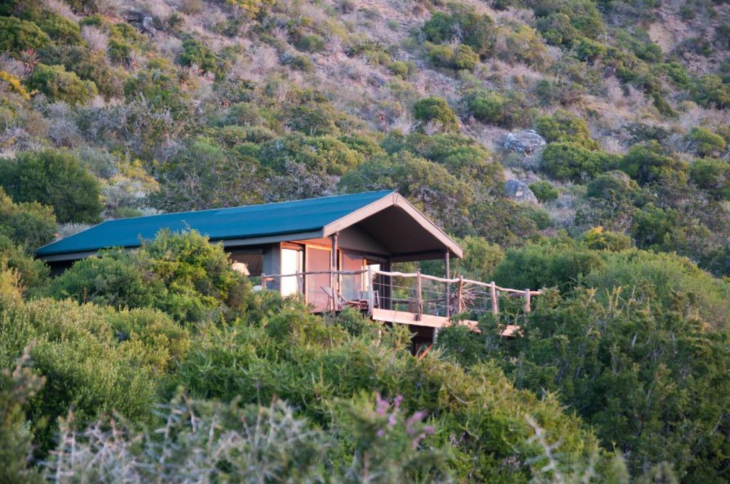 HillsNek Safari Camp – Amakhala Game Reserve Villa Oda fotoğraf