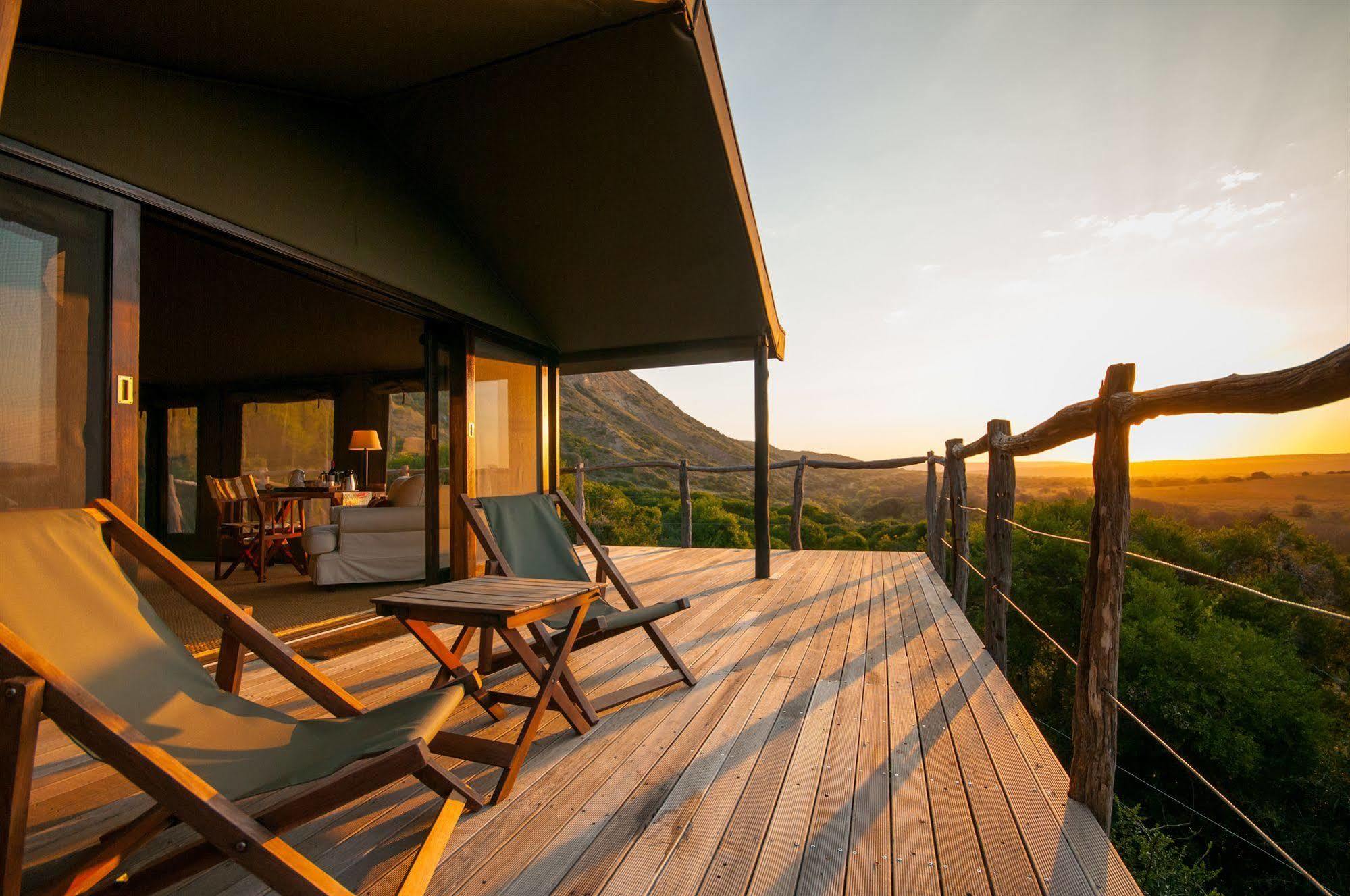 HillsNek Safari Camp – Amakhala Doğa Koruma Alanı Dış mekan fotoğraf