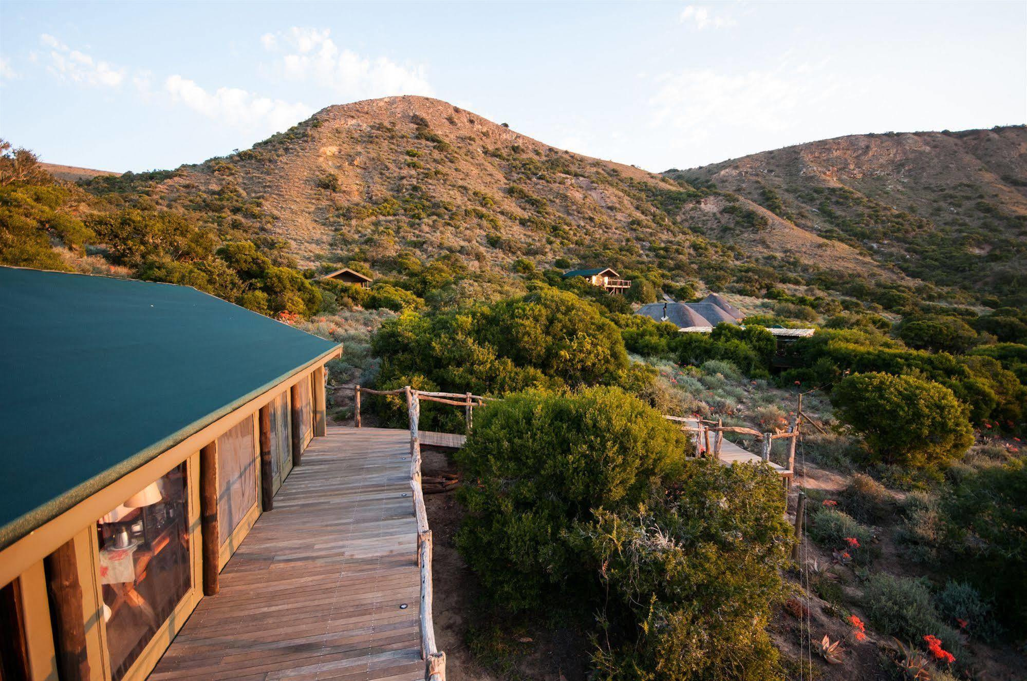HillsNek Safari Camp – Amakhala Doğa Koruma Alanı Dış mekan fotoğraf