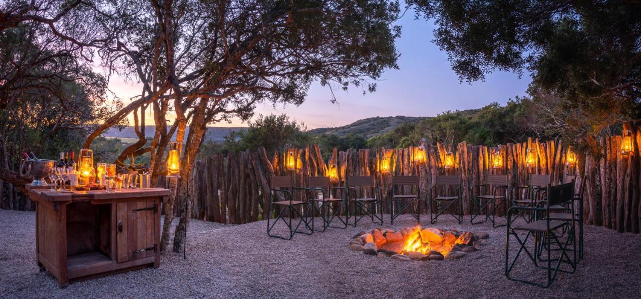 HillsNek Safari Camp – Amakhala Doğa Koruma Alanı Dış mekan fotoğraf