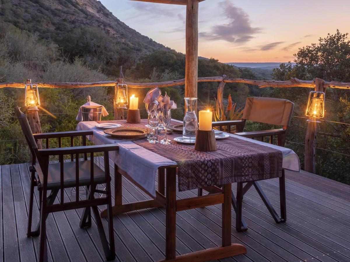 HillsNek Safari Camp – Amakhala Doğa Koruma Alanı Dış mekan fotoğraf