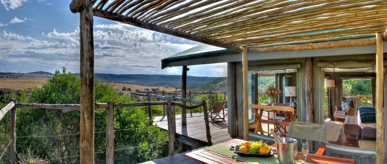 HillsNek Safari Camp – Amakhala Doğa Koruma Alanı Dış mekan fotoğraf